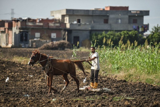  Egypt has signed two cooperation agreements with the UN’s Food and Agriculture Organization to confront climate change. (File/AFP)