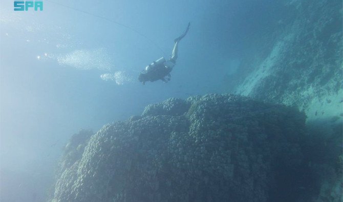 The discovery highlighted the beauty of marine life on Al-Waqadi. (SPA)