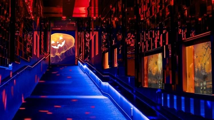 For the occasion, the aquarium will decorate the space using images of jack-o-lanterns, bats, and witches in line with the Halloween theme. (Sumida Aquarium)