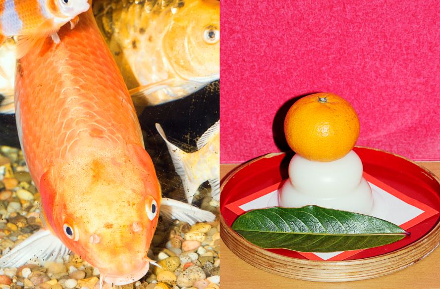 Hiro Tanaka, Untitled, 2018. From ‘Chicharrón’. Digital print; 60 x 40 cm. (Supplied)