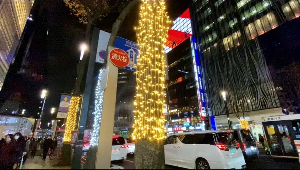 Christmas decorations lit up throughout the streets of Japan as a form of hope and commercial attraction. (ANJP)