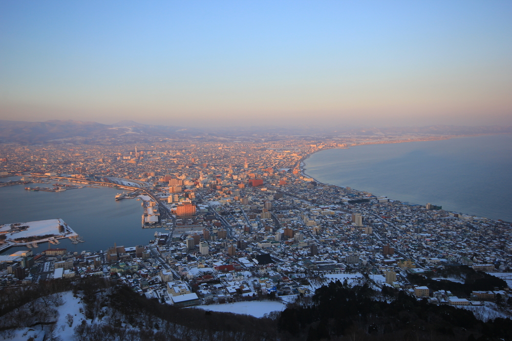 Such quakes could cause tsunamis up to nearly 30 meters high to hit parts of Hokkaido and Iwate, the panel also projected. (Shutterstock)