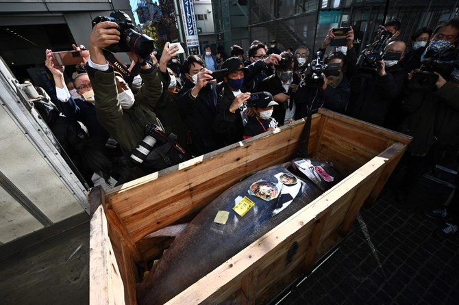Journalists and bystanders look at a tuna which was bought jointly by Michelin-starred sushi restaurant operator Onodera Group and wholesaler Yamayuki for $145,290. (AFP)