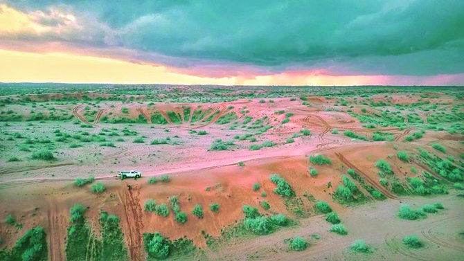 The planting of more wild trees will be carried out by staff from the center, along with workers from environmental associations and organizations. The program will be implemented in phases. (Supplied)