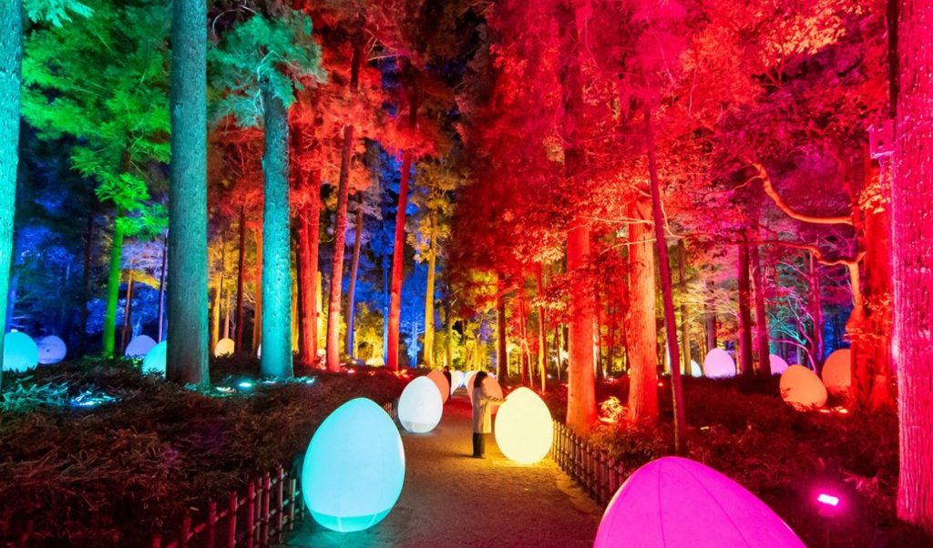The exhibition places egg-shaped devices that emit light that resonates to other ovoids and to the tree surrounding it, creating a multi-coloured, everchanging canvas.