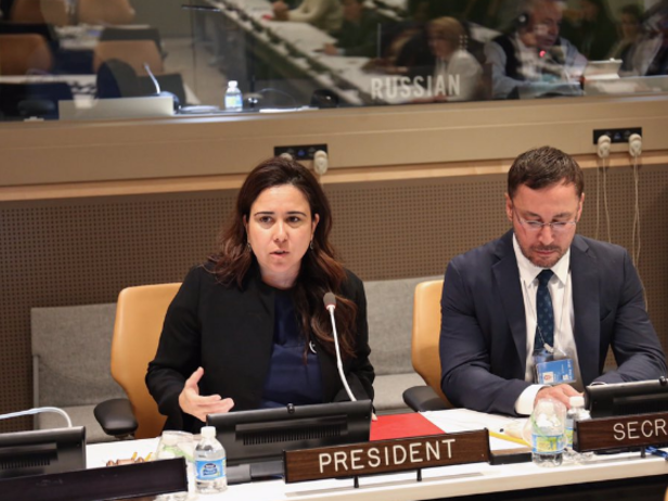 UAE’s UN Ambassador Lana Zaki Nusseibeh. (Twitter)