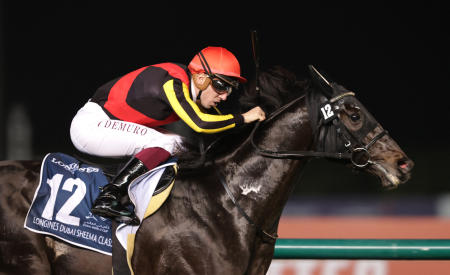 Shahryar, ridden by Cristian Demuro, in action during the Longines Dubai Sheema Classic. (Reuters)