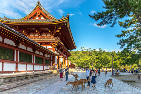 Nara City