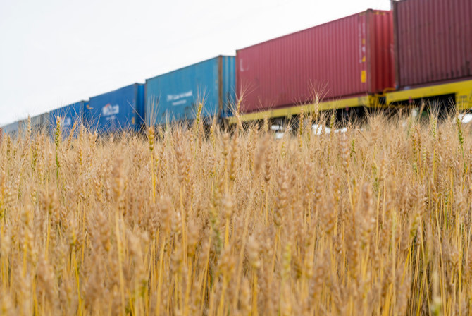 Egypt has also bought about 63,000 tons of wheat from Romania and recently received a further shipment of the grain from France. (Shutterstock)