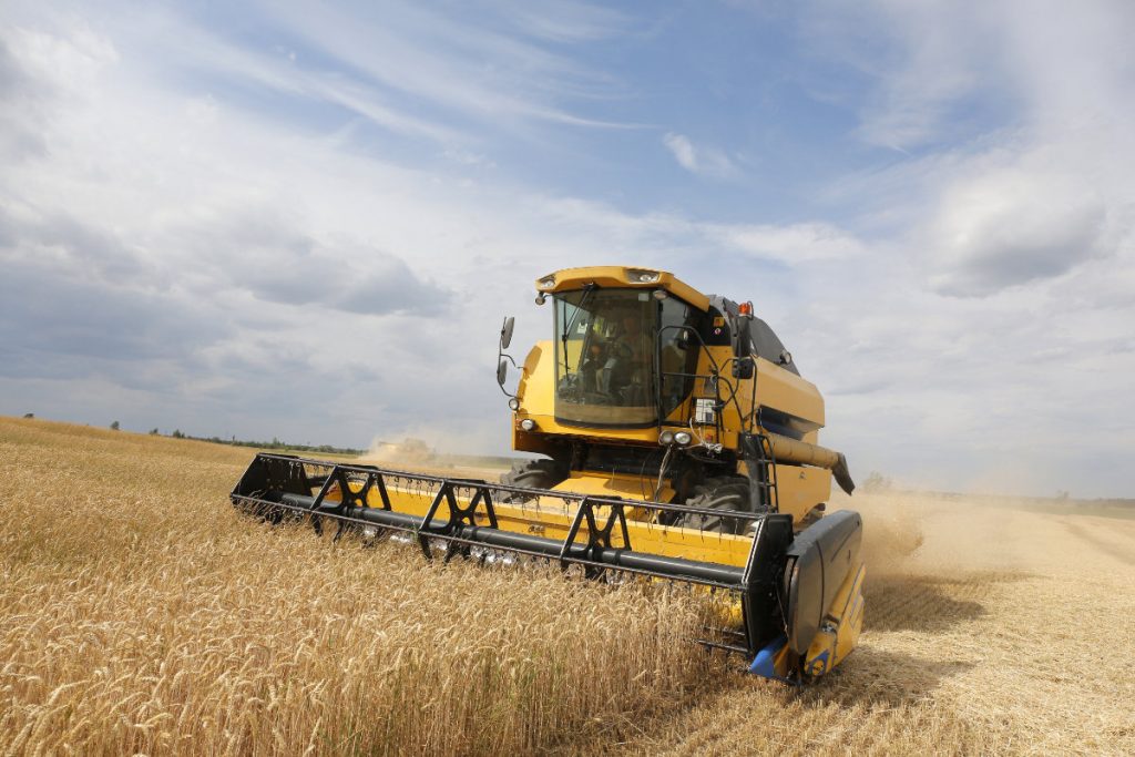 A combine harvesting picks up the wheat on a field near the Krasne village in the Chernihiv area, 120 km to the north from Kiev, on July 05, 2019. (Anatolii Stepanov / FAO / AFP)