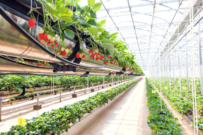 Smart farm concept. Shutterstock
