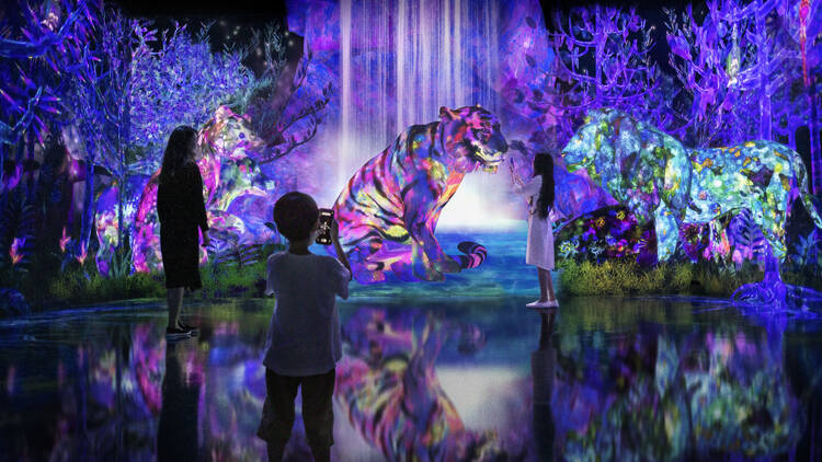 Those hoping to visit can explore a digital forest filled with various extinct or endangered animals that can be studied using a mobile application. (TeamLab)