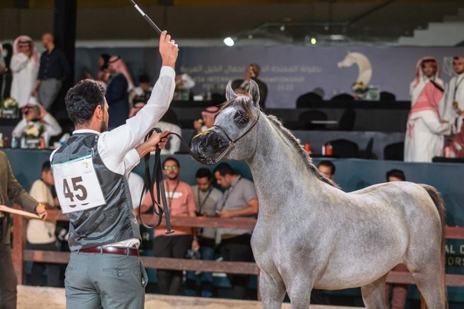 Different pedigrees of horses took part in the International Championship for the Purebred Arabian Horse Beauty (Kuhailah), which was held in Riyadh for five days and wrapped up its activities Sunday. (Supplied)