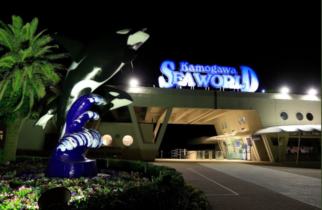 Only 90 people will be admitted daily for the night tour so those interested should secure a spot soon. (TWITTER/ Kamogawa Seaworld)