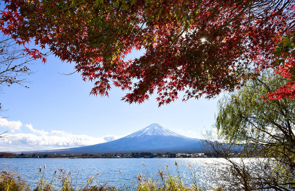 Japan’s Ministry of Foreign Affairs of Japan commissioned research agencies to conduct an opinion poll on impressions of Japan from seven Middle Eastern countries. (Shutterstock)