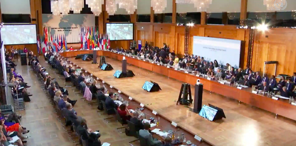 The international ministerial-level conference 