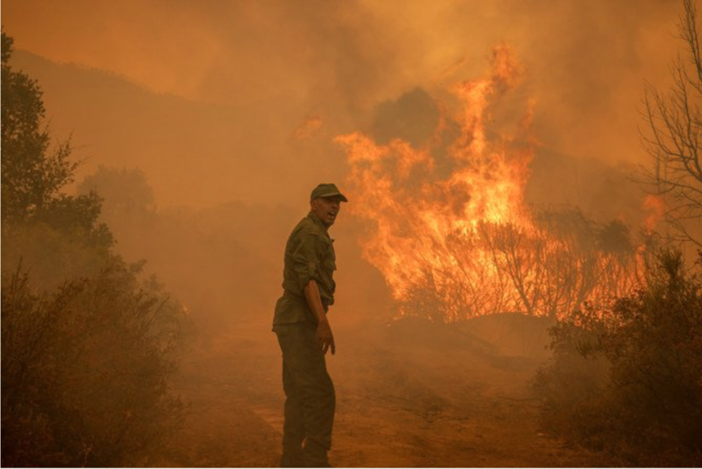 Morocco has been gripped by scorching temperatures amid abnormally intense drought and stress on water supplies. (AFP)