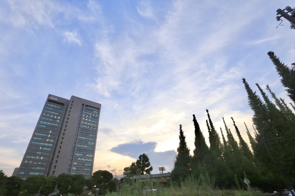 The Tokyo Metropolitan Government has approved plans to rebuild Jingu Stadium and Chichibunomiya Rugby Stadium, but critics say the plan will involve the cutting down of 1,000 trees and the destruction of a popular avenue of gingko trees. (ANJ / Pierre Boutier) 