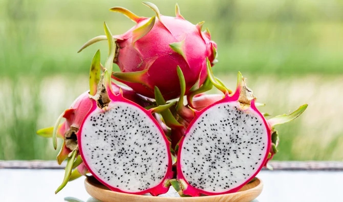 The announcement was made at a workshop hosted by the Ministry of Environment, Water and Agriculture. (Shutterstock)