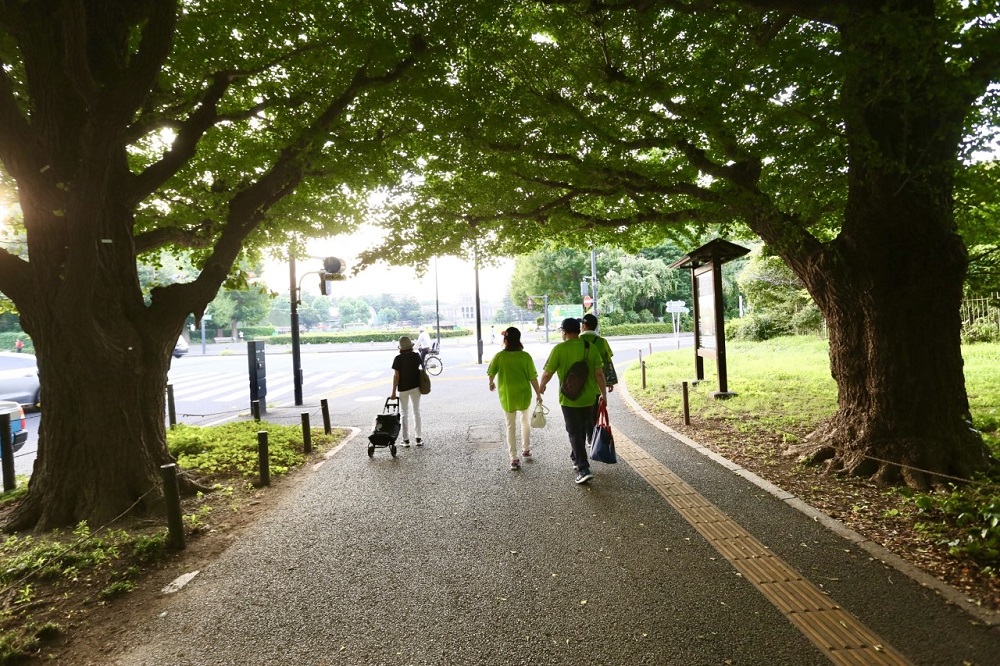 The Tokyo Metropolitan Government has approved plans to rebuild Jingu Stadium and Chichibunomiya Rugby Stadium, but critics say the plan will involve the cutting down of 1,000 trees and the destruction of a popular avenue of gingko trees. (ANJ / Pierre Boutier) 