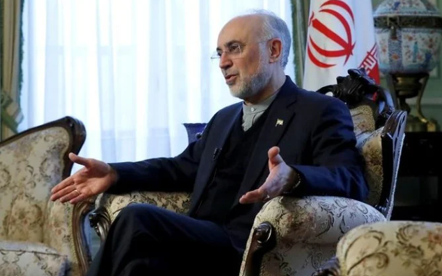 Former head of the Atomic Energy Organization of Iran Ali Akbar Salehi. (Reuters)