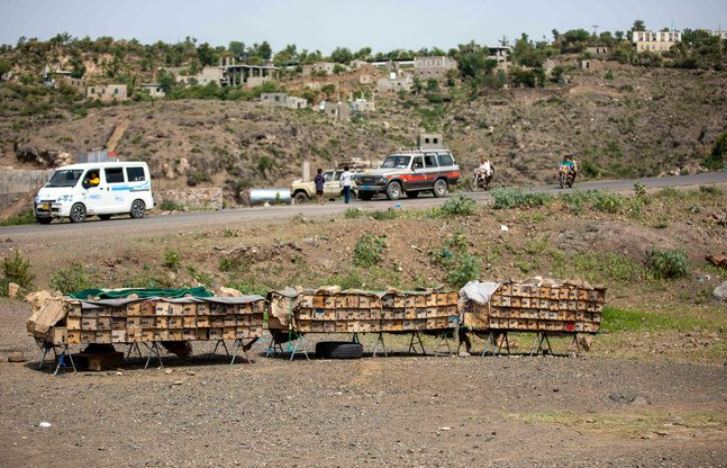 Parties in Yemen earlier agreed to extend truce for two additional months until Oct. 2 while engaging in talks over larger truce agreement. (AFP)