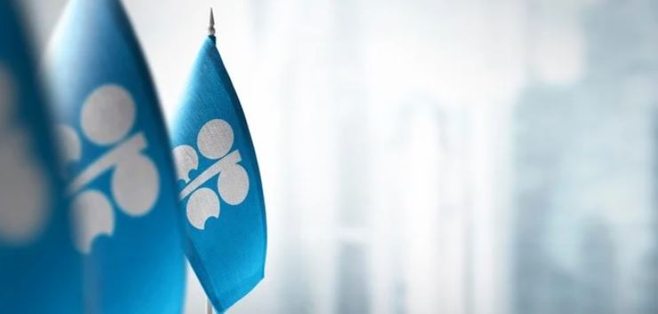 The group agreed this month to increase production targets by another 100,000 bpd in September (Shutterstock)