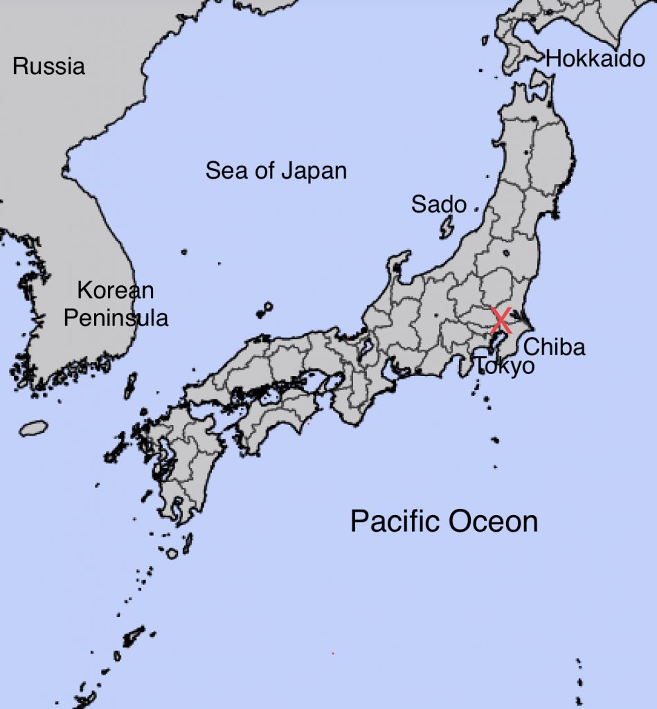 The Tokyo area was hit by two moderate earthquakes on Saturday morning. (JMA)