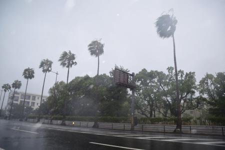 Roadside trees are blown by strong winds as Typhoon Nanmadol approaches in Kagoshima city, south of Kyushu, on September 18, 2022. (Photo by JIJI PRESS / AFP)