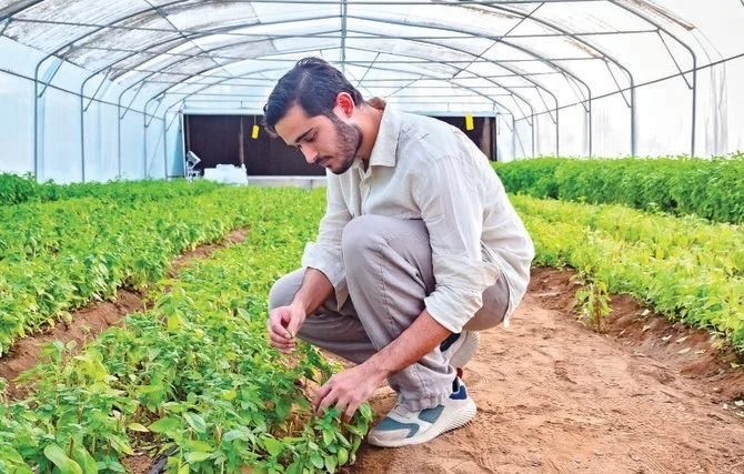 Many Saudi businesses are into smart farming, raising the Kingdom's food self-sufficiency level. (Huda Badshatah photo)