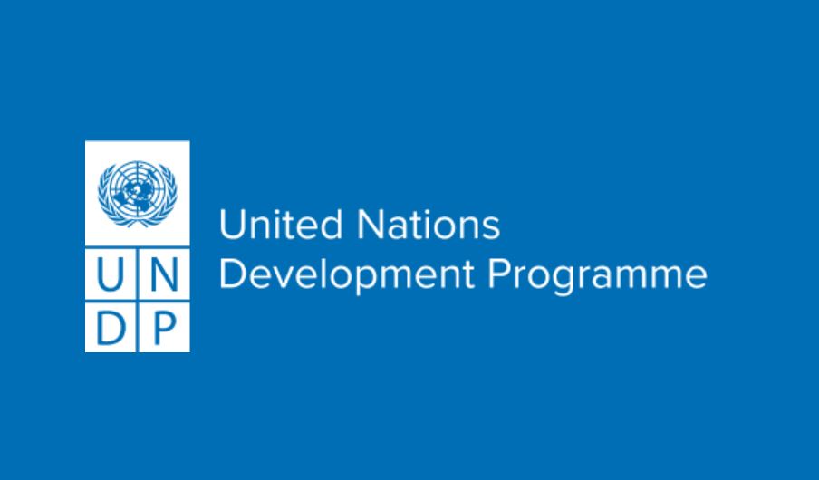 Forty-eight African representatives, including 20 heads of states and governments, and top leadership at the African Union Commission participated in the two-day summit held in Tunisia, as well as the United Nations, development banks and public and private sector representatives. (UNDP/ Screengrab)