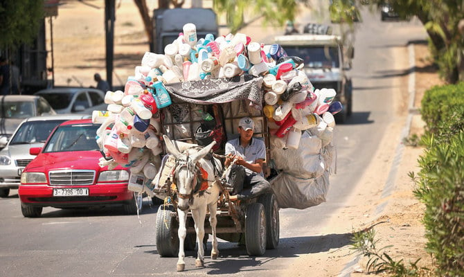 An Israeli NGO erroneously claims that donkeys are tortured in the Gaza Strip and that they are slaughtered there and their skins are sold to China via Egypt. (AFP)