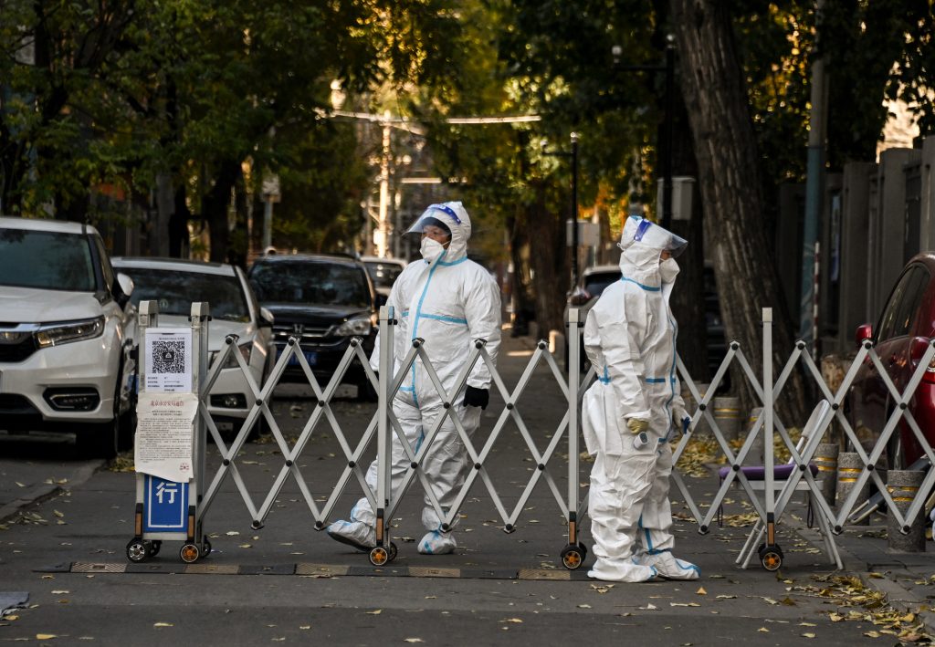 Infections of highly pathogenic avian influenza are spreading at an unusual pace in Japan. (AFP)