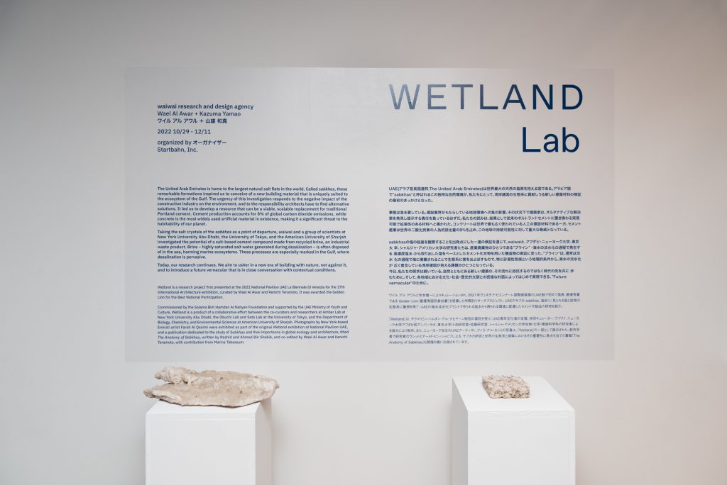 “Wetland Lab” by waiwai research and design agency at SRR Project Space, Shimokitazawa, Tokyo. (Photo: Masataka Tanaka/ Courtesy: Startbahn)