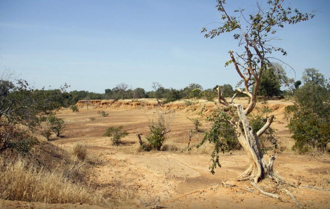 Parched land is pictured around the Lake Wegnia, in Sahel region of Koulikoro, Mali. (Reuters/File)