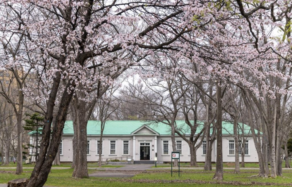 Hokkaido University