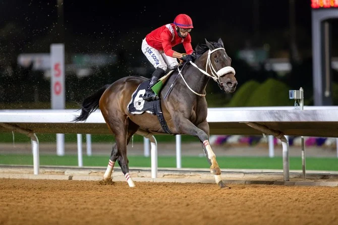 Evelina on the way to winning last year's Japan Cup. (Supplied)