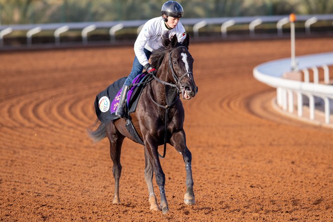 Last year's G3 1351 Turf Sprint winner returns to King Abdulaziz trackwork, building towards defending her crown on Saturday. (Twitter: @thesaudicup)