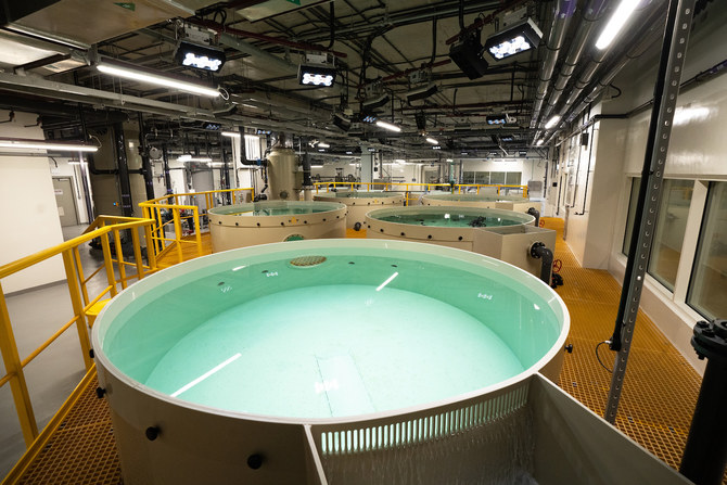 Yas SeaWorld Research and Rescue is described as the first integrated marine research, rescue, rehabilitation, return and education center in MENA region. (Supplied)