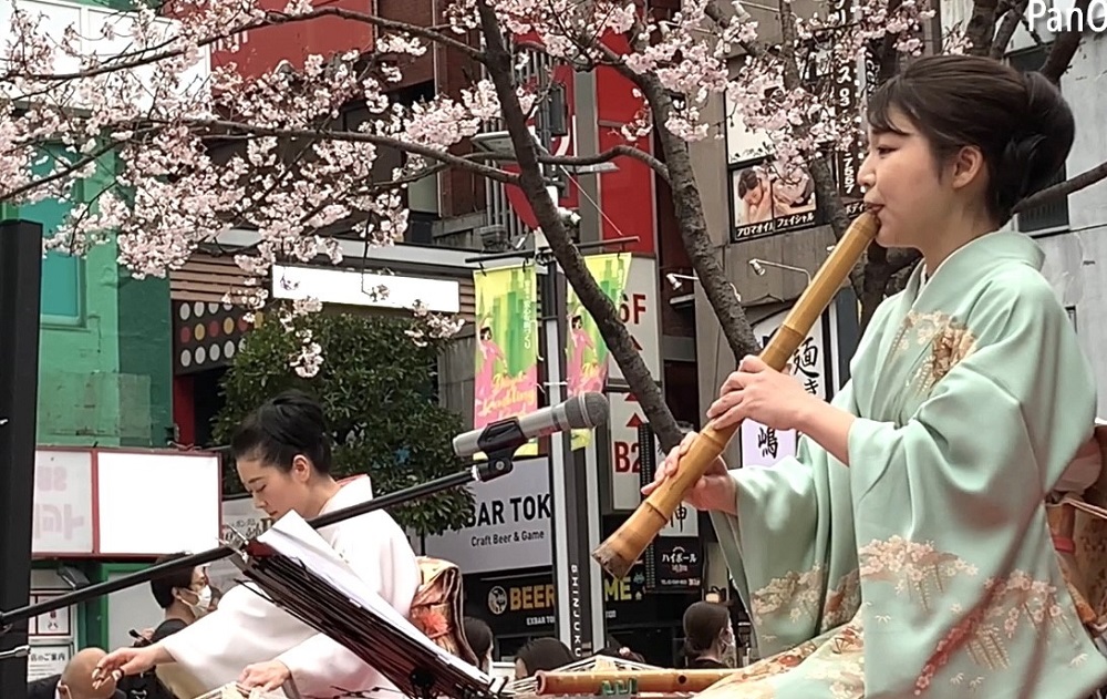 This year has seen a full revival of parties and people celebrating cherry blossoms in Japan after three years of “self-restraint” due to COVID-19. (ANJ)