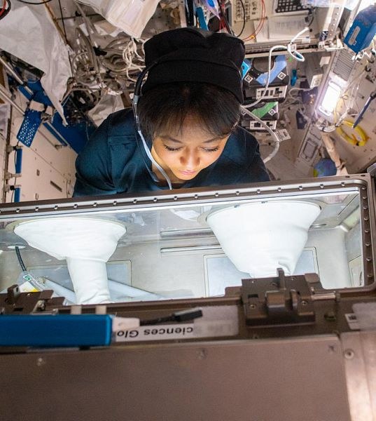 Rayyanah Barnawi is Saudi Arabia’s first female astronaut. (SPA)