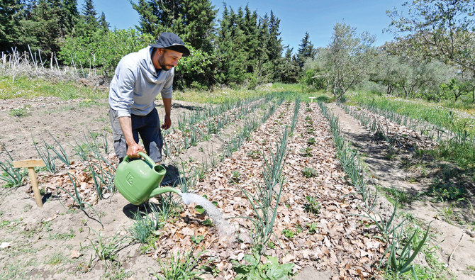 Farmer Saber Zouani who practises permaculture, waters crops in a field in Cap Negro in northern Tunisia. (AFP)