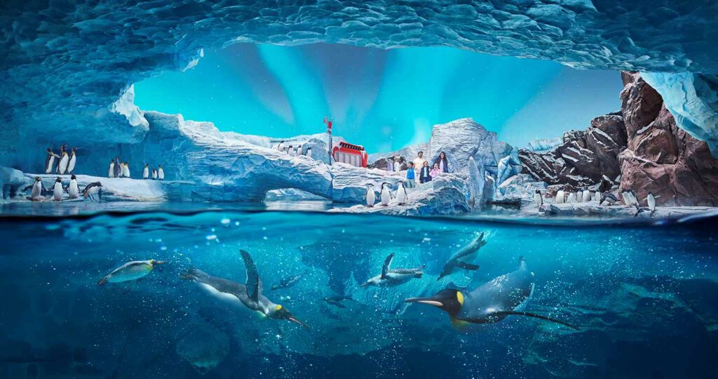 SeaWorld is committed to providing the highest standard of animal welfare based on best practices. (Supplied)
