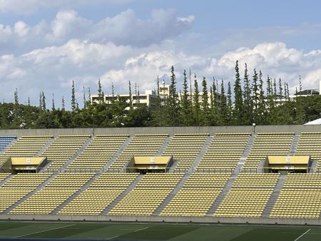 Ginkgo trees are seen behind of Prince Chichibu Memorial Rugby Stadium at an area known as Jingu Gaien in Tokyo, on May 12, 2023. (AP)