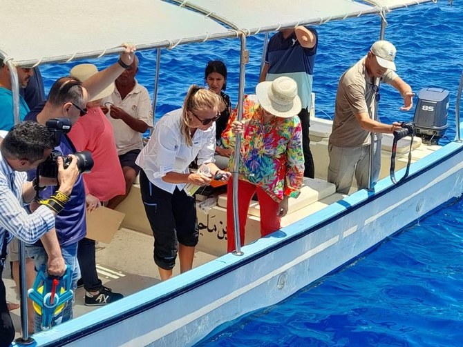 A specialized team monitor the behavior of sharks off Egypt’s Red Sea coast. (Supplied)