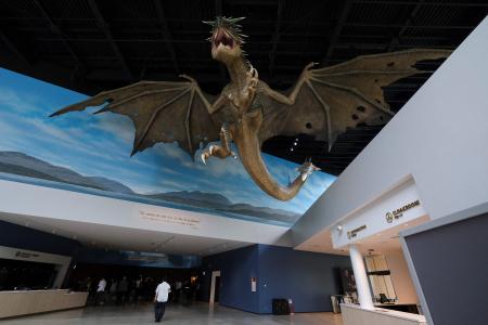 A display of Hungarian Horntail dragon is seen at the entrance of the theme park 