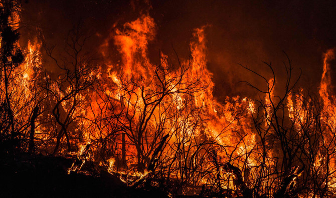 A forest fire rages near the town of Melloula in northwestern Tunisia close to the border with Algeria on July 24, 2023. (AFP)