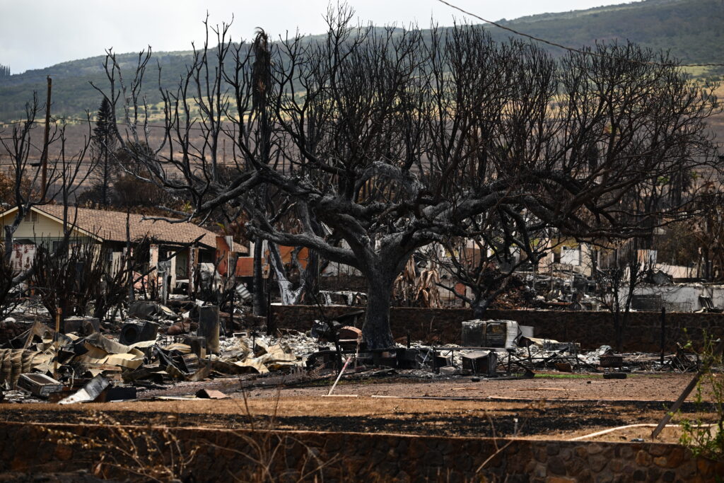 A burnt tree stands by the remains of a destroyed house in the aftermath of the Maui wildfires in Lahaina, Hawaii, on August 16. (AFP)