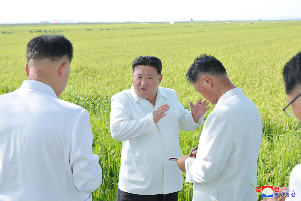The UN Security Council held open meetings on North Korean human rights issues from 2014 to 2017. (AFP)