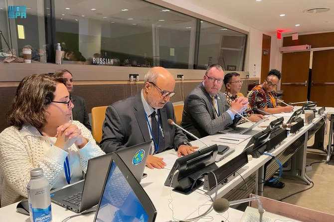 The Saudi delegation highlighted in particular its cooperation with thematic working groups in the academic and private sectors. (SPA)